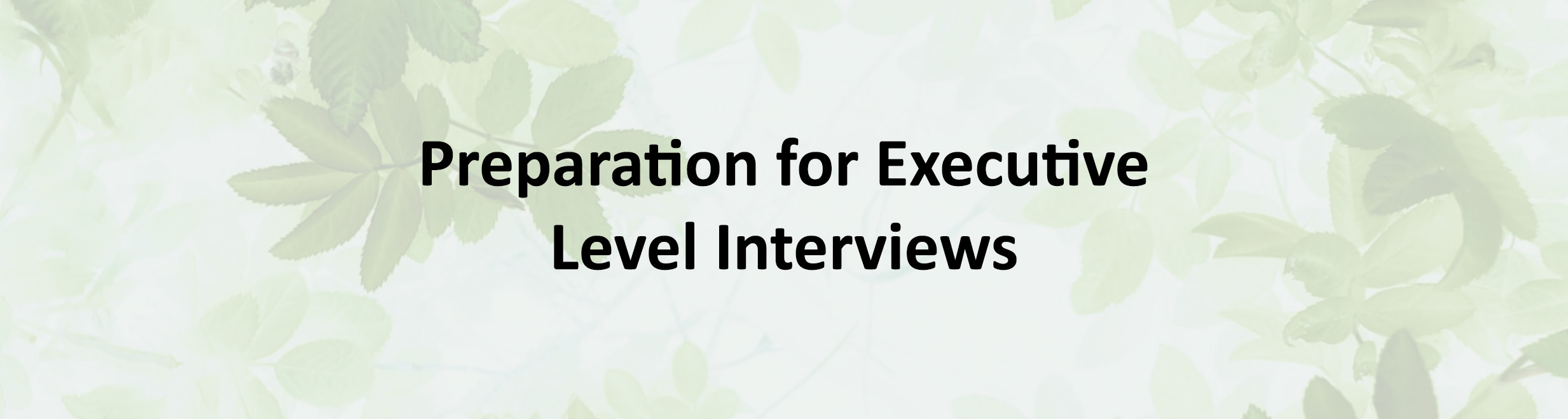 Preparation for Executive Level Interviews