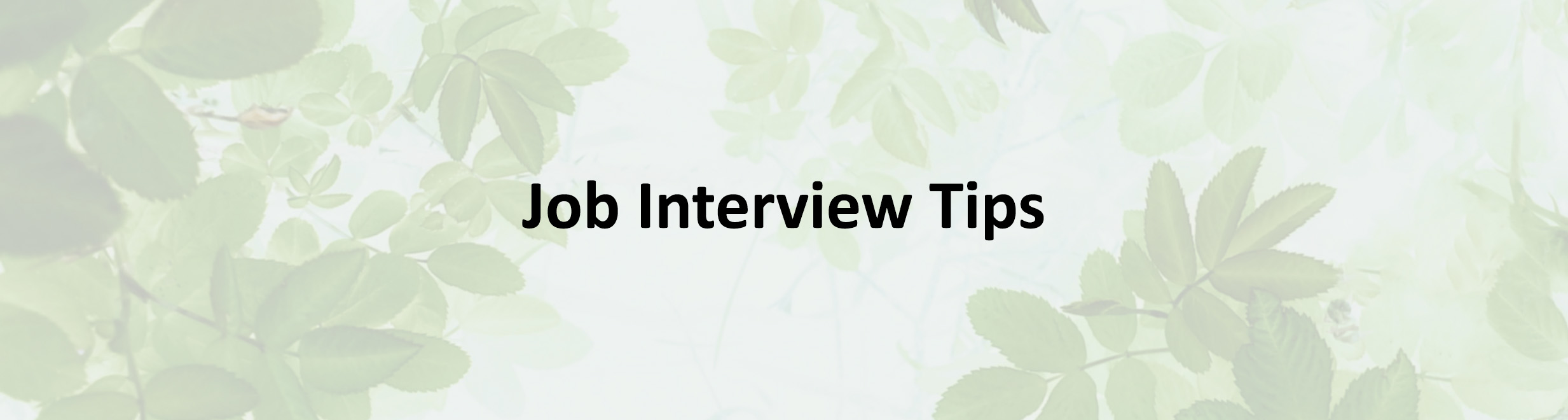 Job Interview Tips: How To Increase Your Chances of Success