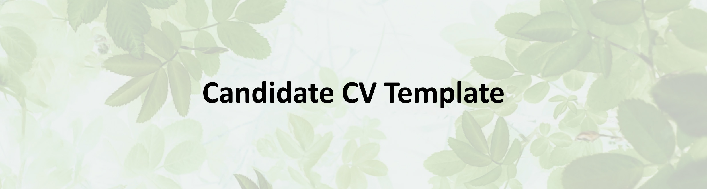 CV Template